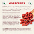 Bio-Goji-Beeren-Extrakt-Pulver